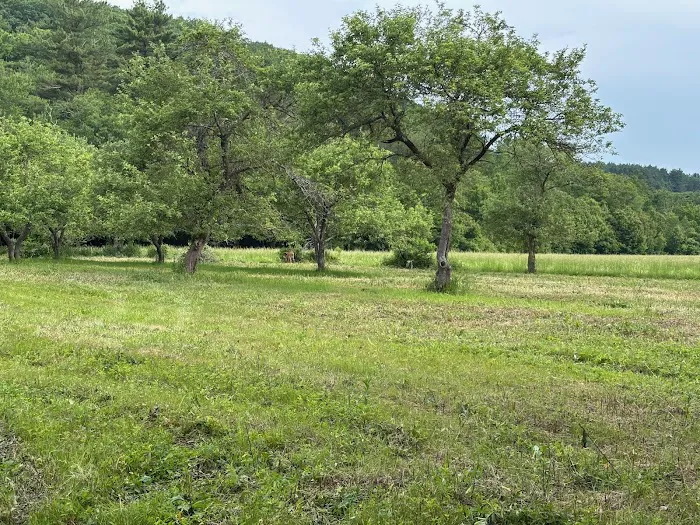 Naultaug Valley Farm LLC Picture 1