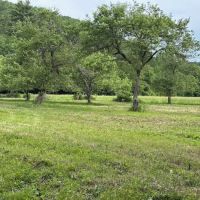 Naultaug Valley Farm LLC ico