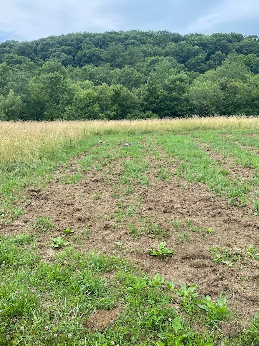 Naultaug Valley Farm LLC Picture 3