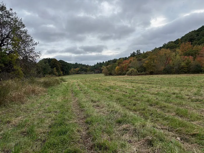 Naultaug Valley Farm LLC Picture 2