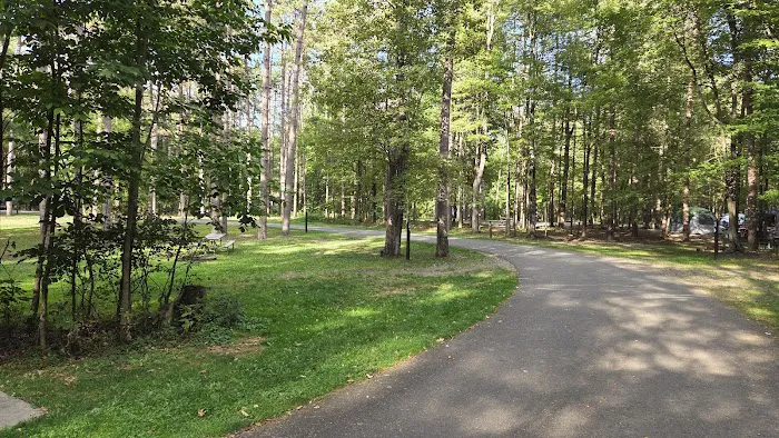 Chipmunk Bluff Camping Area Picture 1