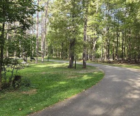 Chipmunk Bluff Camping Area