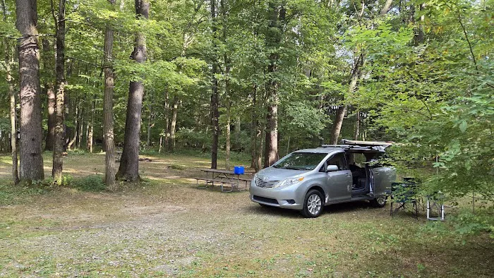 Chipmunk Bluff Camping Area Picture 3
