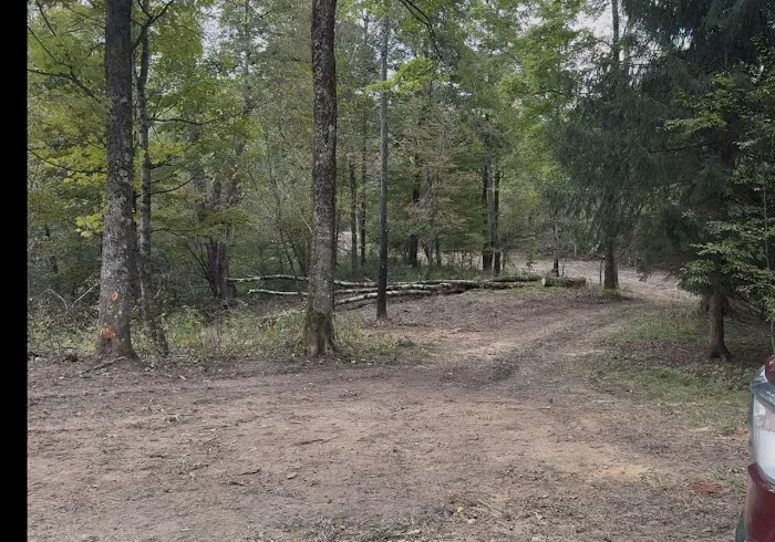 Live The Outdoors LLC Picture 1