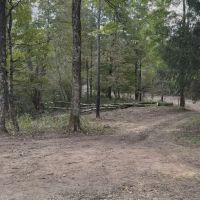 Live The Outdoors LLC ico