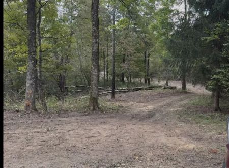 Live The Outdoors LLC