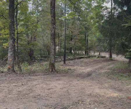 Live The Outdoors LLC