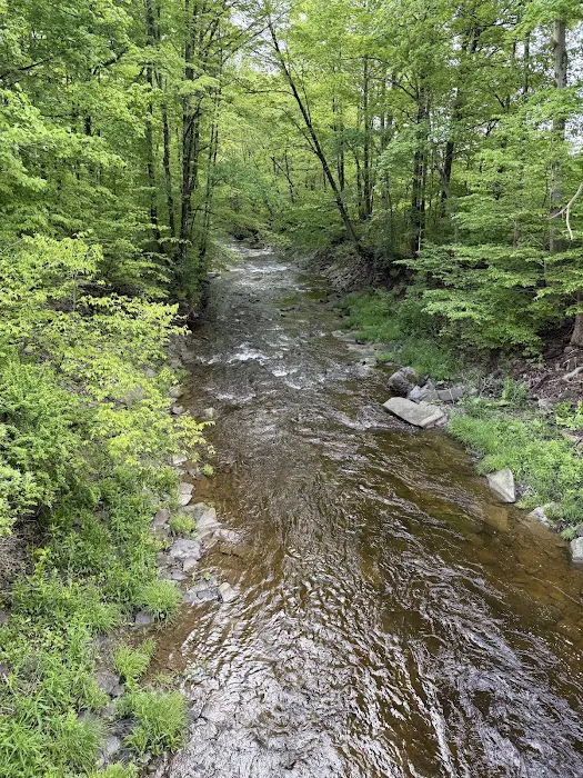 Live The Outdoors LLC Picture 2