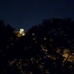 Luke Chute Campground