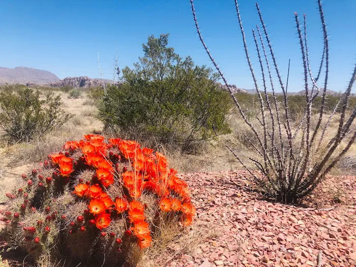 Gleatherland Ranch / Campground Picture 2
