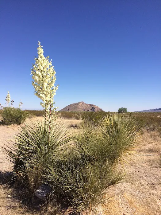 Gleatherland Ranch / Campground Picture 8