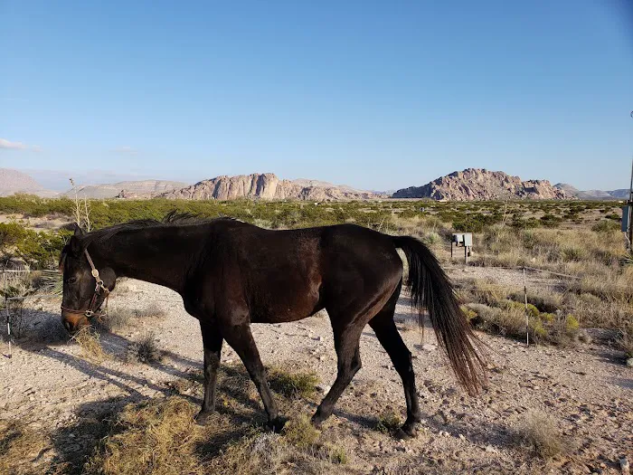 Hueco Rock Ranch - American Alpine Club Picture 8