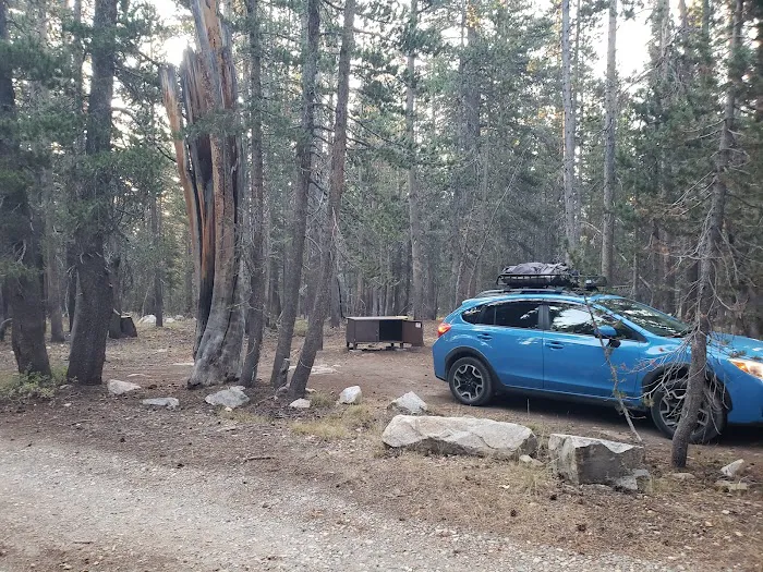 Lower Virginia Creek Primitive Campground Picture 1