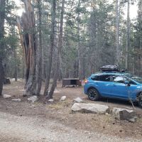 Lower Virginia Creek Primitive Campground ico