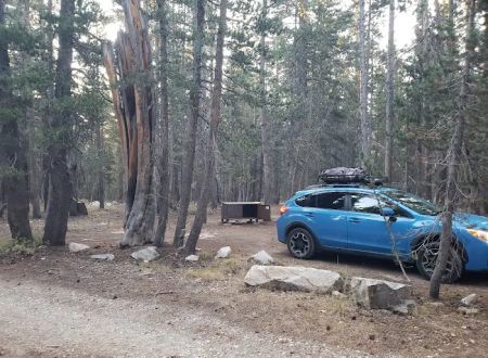 Lower Virginia Creek Primitive Campground