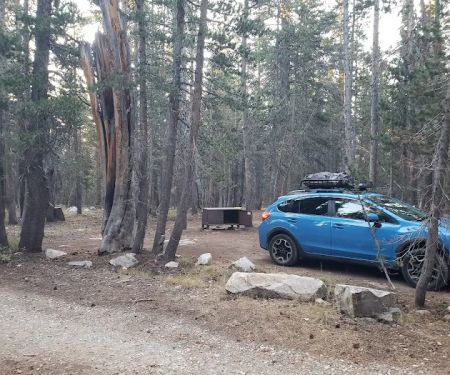 Lower Virginia Creek Primitive Campground