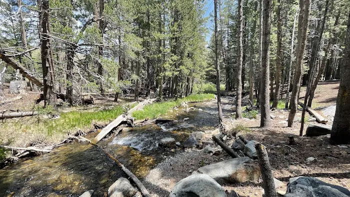 Lower Virginia Creek Primitive Campground Picture 7