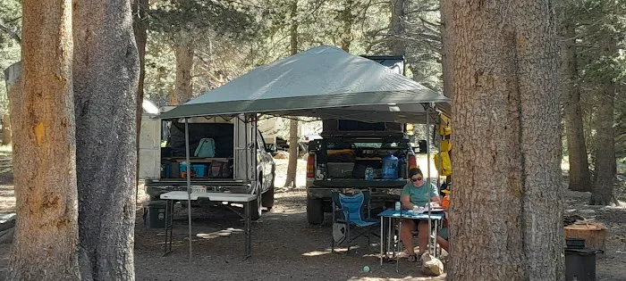 Lower Virginia Creek Primitive Campground Picture 5