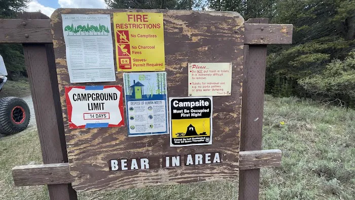 Lower Virginia Creek Primitive Campground Picture 3