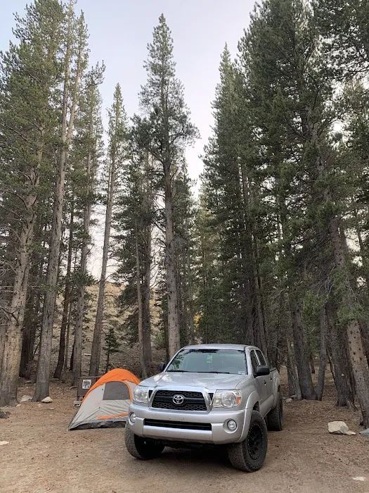 Lower Virginia Creek Primitive Campground Picture 8