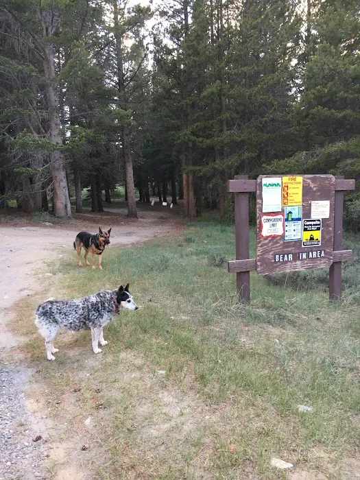 Lower Virginia Creek Primitive Campground Picture 2