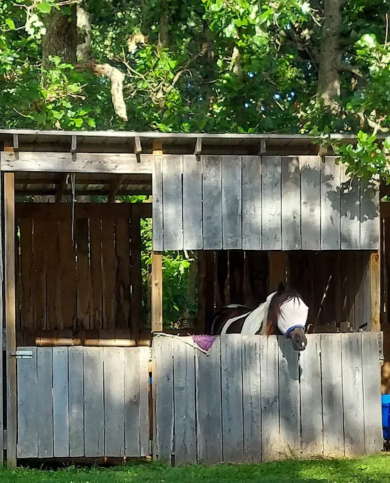 Pomme de ridge horse camp and campground Picture 2