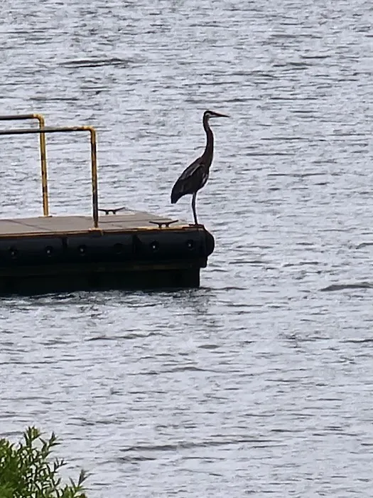 Pittsburg Park USACE Picture 6