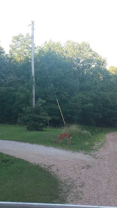 Whitesides Hidden Acres Picture 5