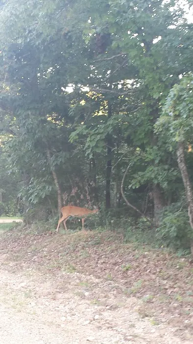 Whitesides Hidden Acres Picture 6