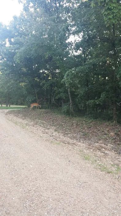 Whitesides Hidden Acres Picture 7