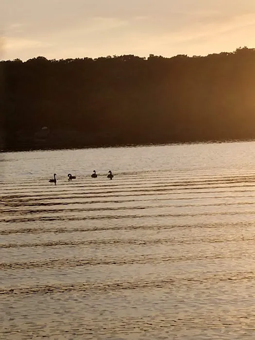 Pomme De Terre Beach Picture 7