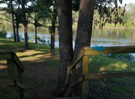 Lightfoot Park