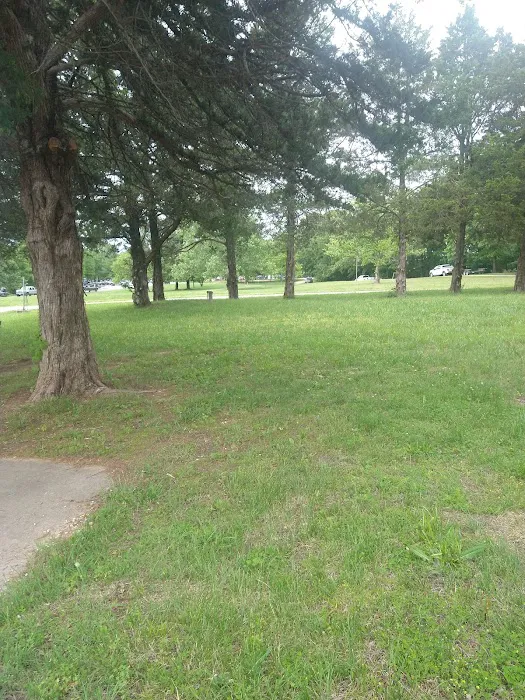 Lightfoot Park Picture 4