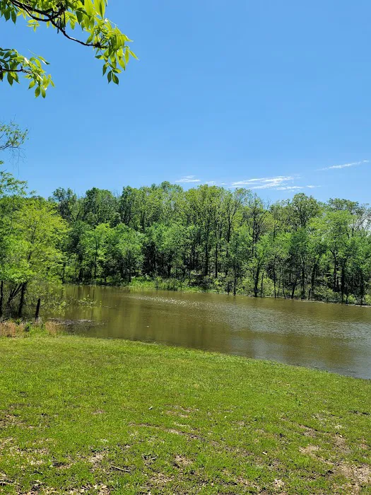 Lightfoot Public Use Area Picture 9