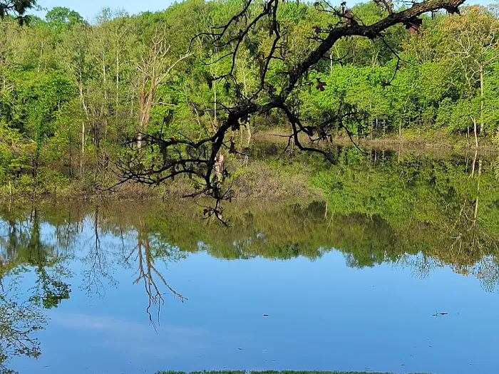 Lightfoot Public Use Area Picture 10