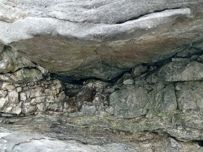 Pomme de Terre loop 428 Picture 5