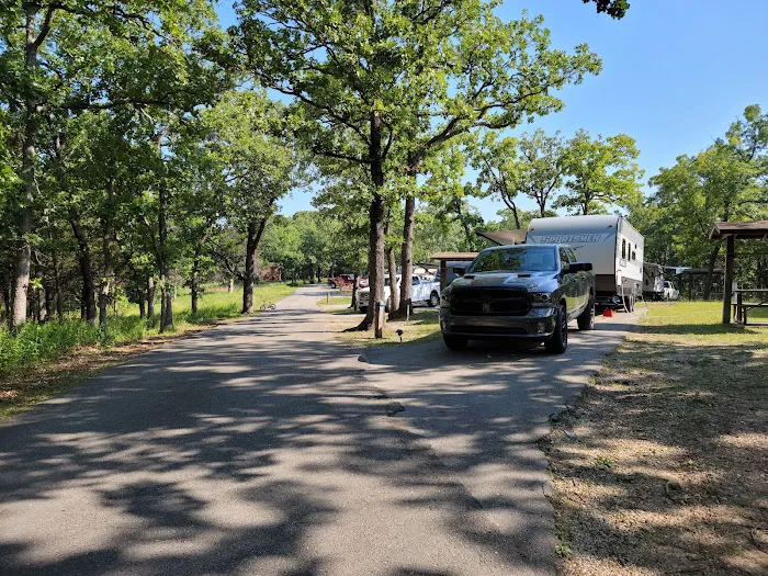 Pomme de Terre loop 428 Picture 6