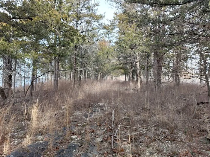 Pomme de Terre loop 428 Picture 4