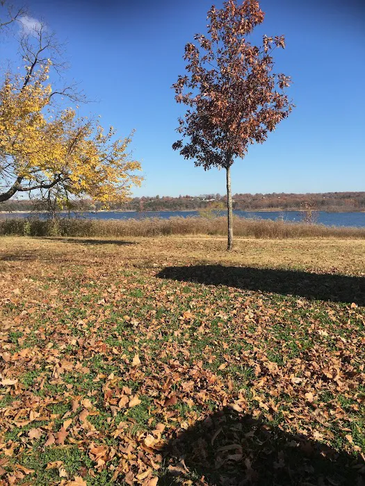 Hermitage Campground Picture 8