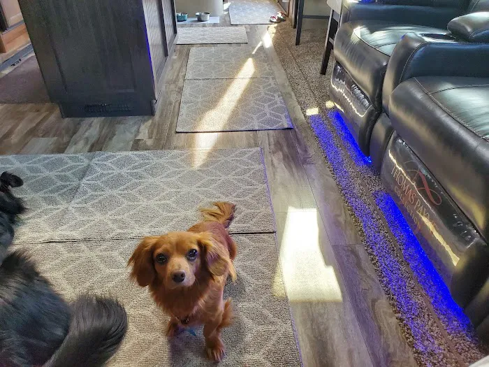 Harbor Campground and marina Picture 4