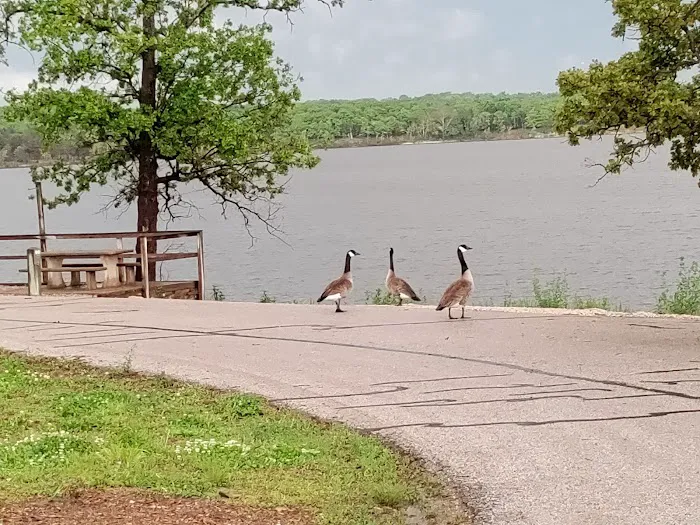 DamSite Campground, COE Picture 2