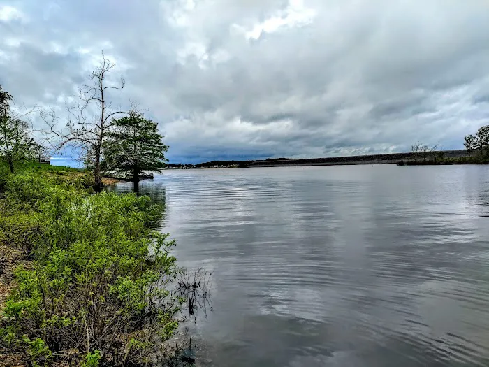 DamSite Campground, COE Picture 4