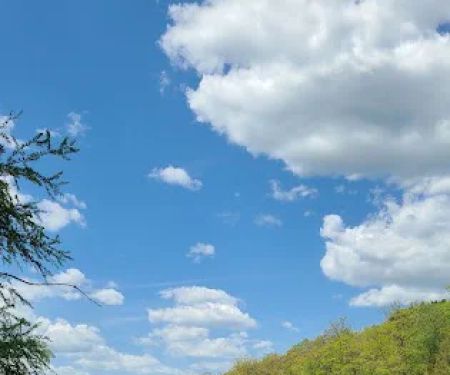 Bent Trout Lake Campground