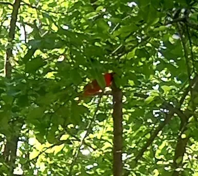 Department-Natural Resources Picture 1