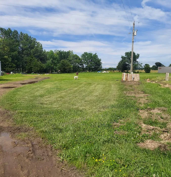 Buffalo Hump Camping and RV Stay Picture 4