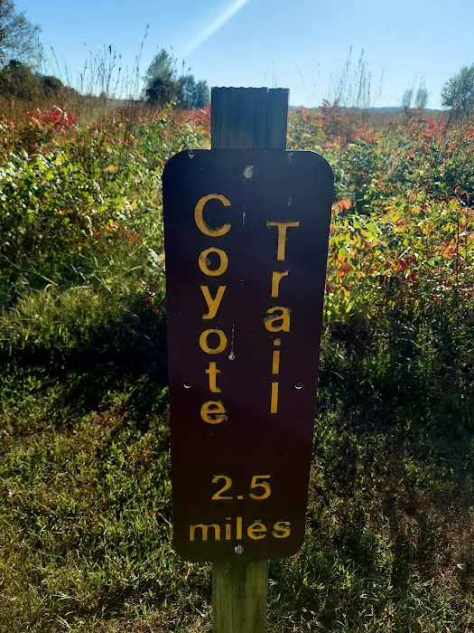 Prairie State Park Campground Picture 7