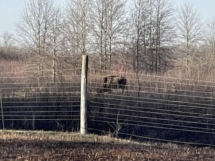 Prairie State Park Campground Picture 2