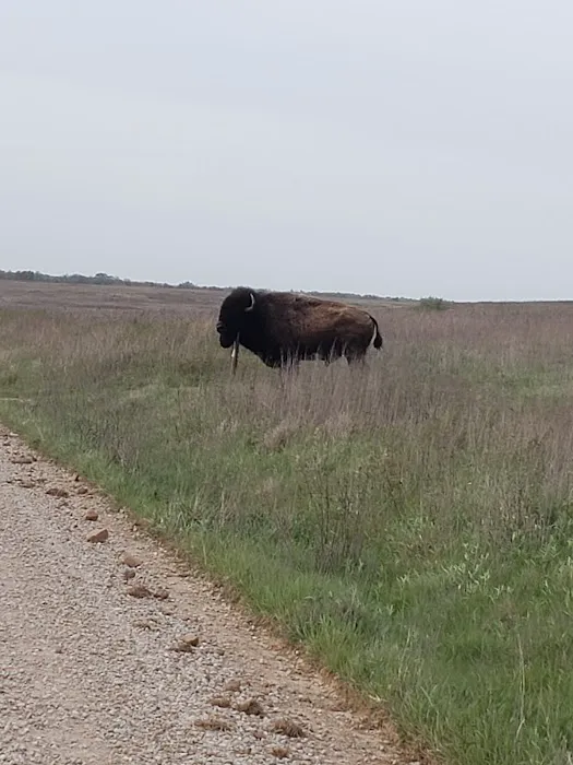 Prairie State Park Campground Picture 6