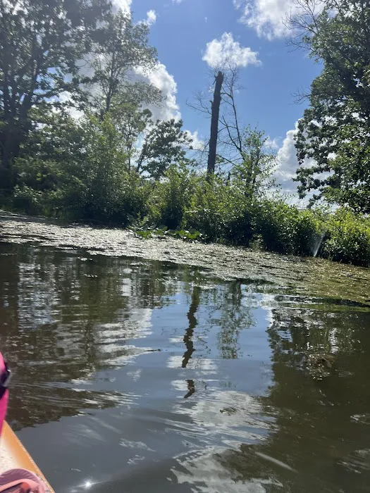 Bushwhacker Lake Conservation Area Picture 8