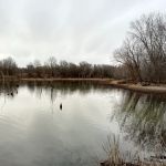 Bushwhacker Lake Conservation Area
